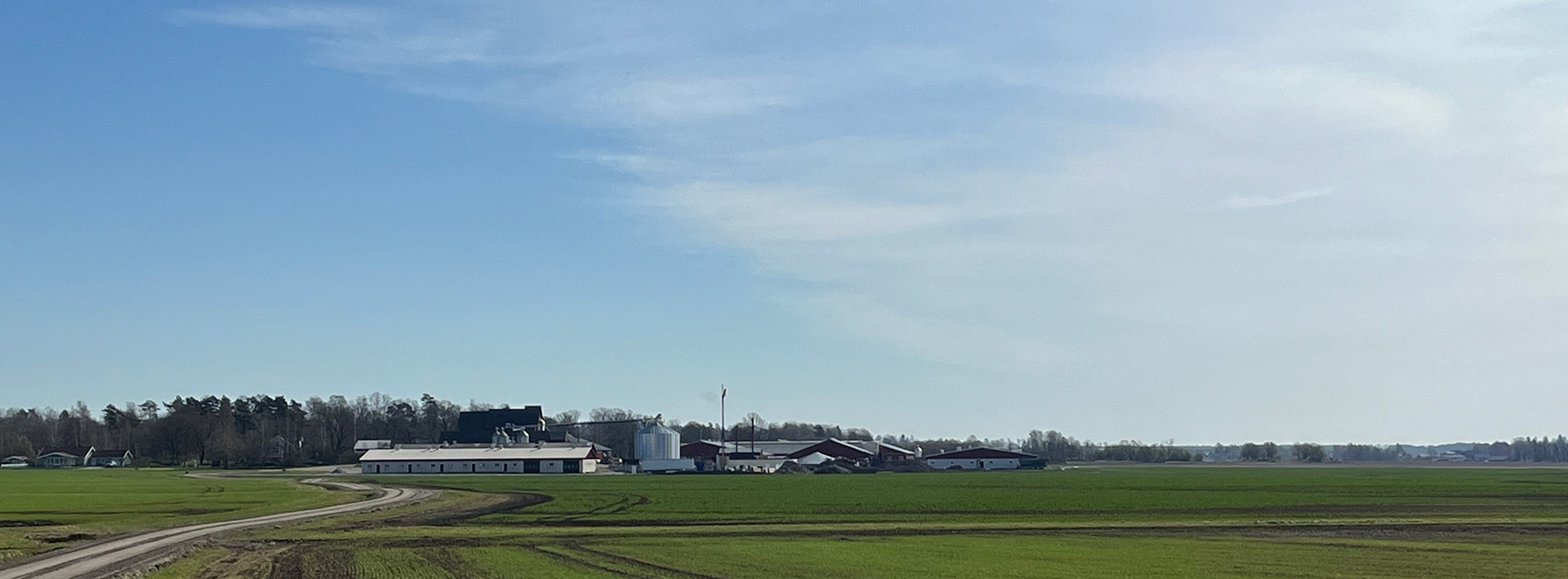 Gårdsmiljö
